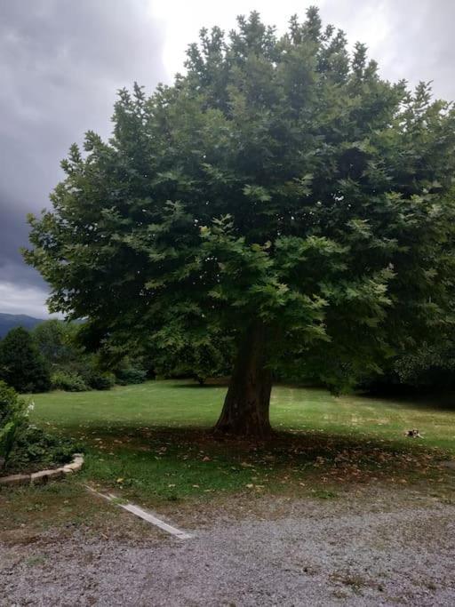 Logement Entier Dans Un Ecrin De Verdure Bidos Exteriör bild