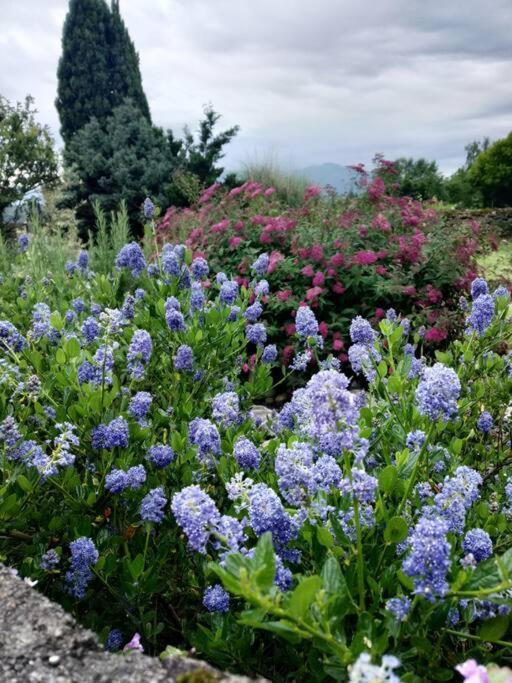Logement Entier Dans Un Ecrin De Verdure Bidos Exteriör bild