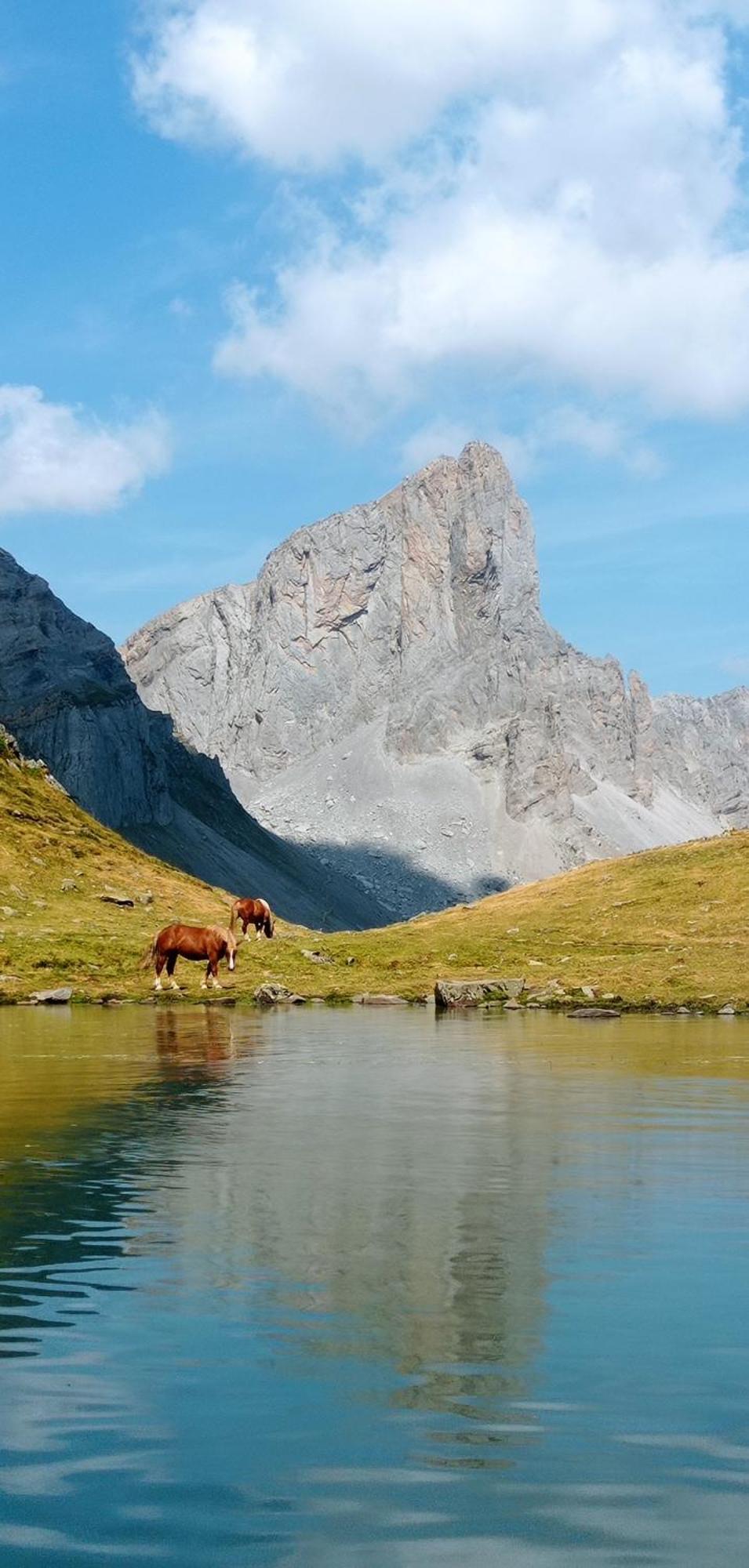 Logement Entier Dans Un Ecrin De Verdure Bidos Exteriör bild